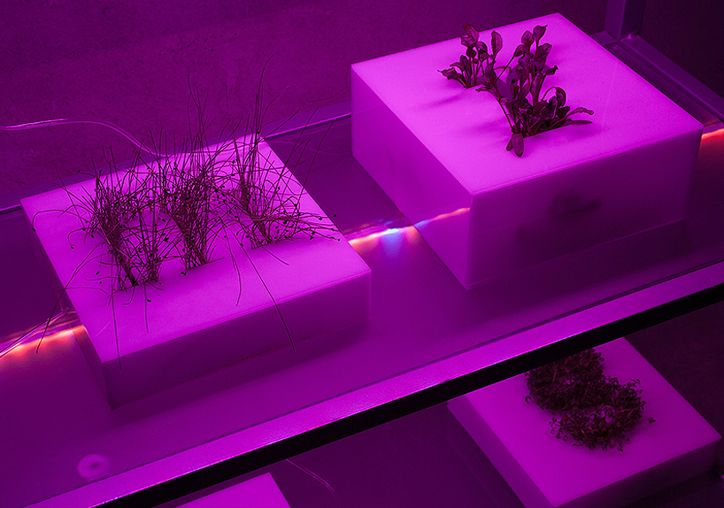 type_garden5